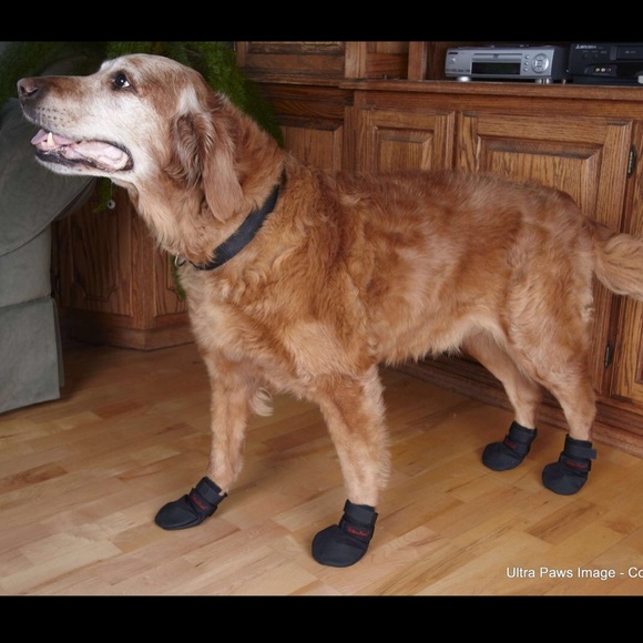 ***SOLD**** - Picture 5 of 8